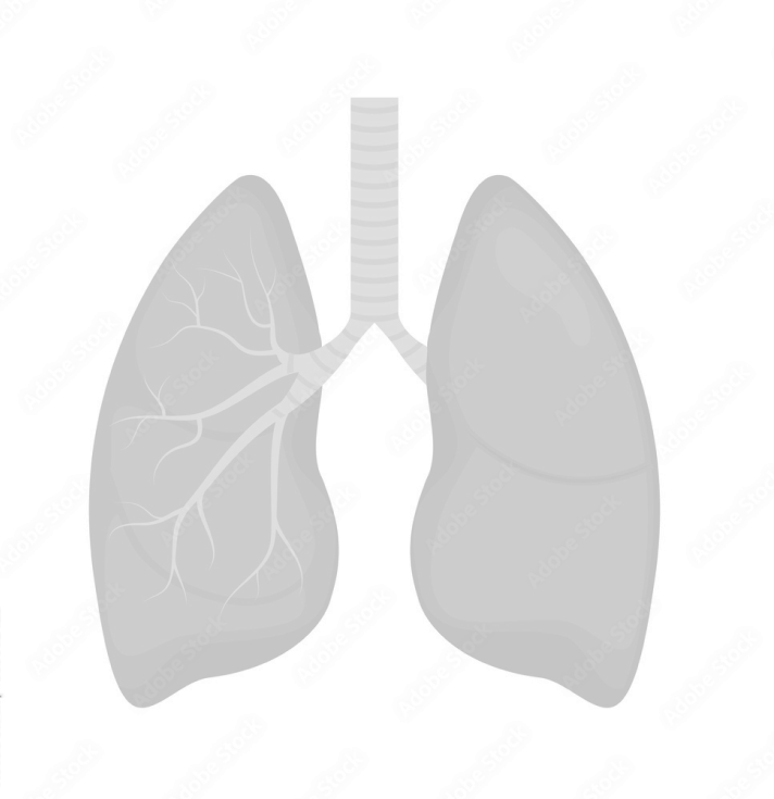 Disease progression